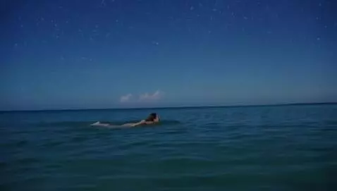AI Video from prompt: A woman swims in the middle of the calm ocean at