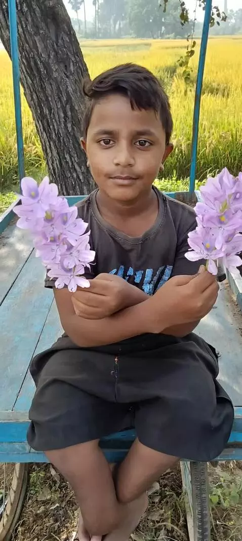 AI Video from prompt: Playing boy with flower