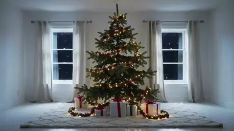 Kling 2.5 Turbo (pro) video