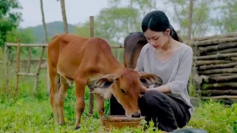 AI Video from prompt: woman breasfeeding two calfs