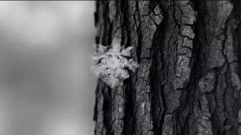 AI Video from prompt: “A 30–45 second cinematic vertical film titled T