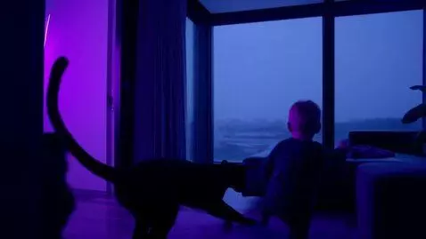 AI Video from prompt: Dark cinematic thriller vibe: dimly lit luxuriou