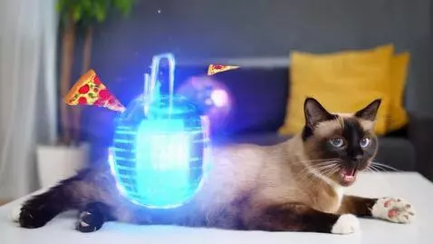 AI Video from prompt: Create a viral video: the cat is laying on the t