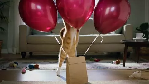 AI Video from prompt: Seekor kucing lagi nyoba buat loncat ke 3 balon 