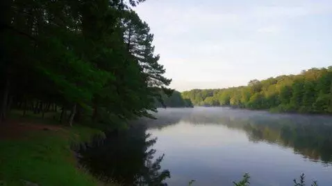 AI Video from prompt: A calm lake surrounded by trees, soft morning fo