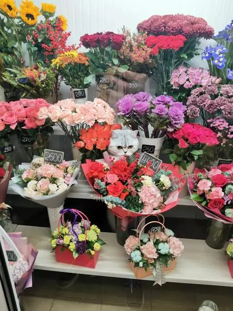 AI Video from prompt: The Flower Thief"  Style: Photorealistic, cinema