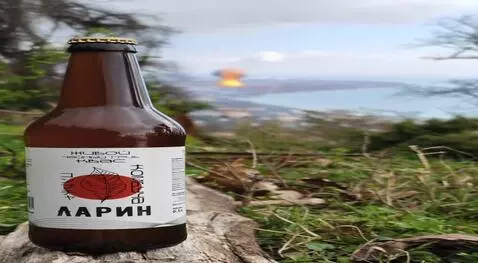 Hunyuan Video I2V video