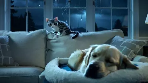 AI Video from prompt: (0-5 seconds) - WIDE SHOT The scene opens on a w