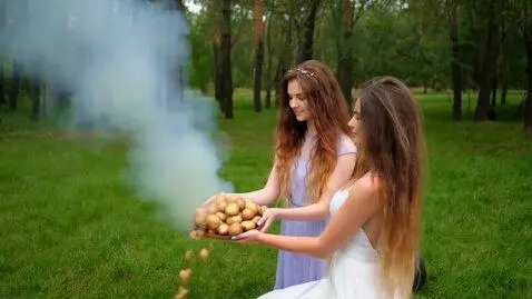 AI Video from prompt: Беларусь. Сосновый лес. Лето. Поляна.  На земле,