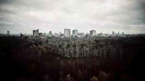 AI Video from prompt: View from the top, flying forward over the fores