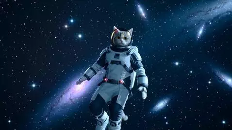 AI Video from prompt: в далёком космосе средь звёзд парит кот в скафан