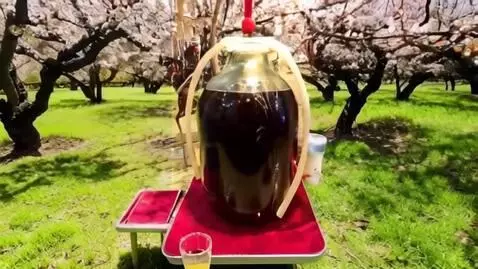 AI Video from prompt: Замени фон на вишневый сад солнечным летом. Вращ