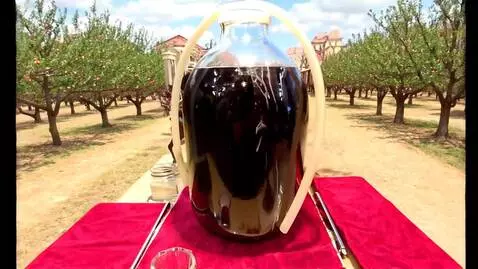 Kling 1.5 (pro) video