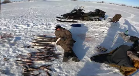 AI Video from prompt: big fish crazy