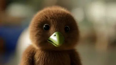AI Video from prompt: Baby kiwi: his face  brown, and the cheeks are p