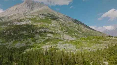 AI Video from prompt: Укусил комар за клитор, Мелкая зараза