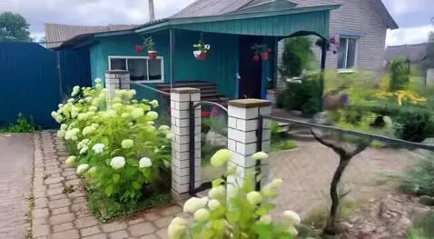 AI Video from prompt: Use the uploaded city photo as the main referenc