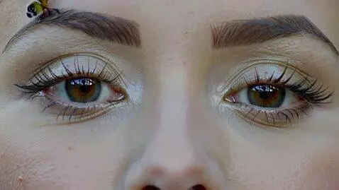 AI Video from prompt: The eyebrows are like willow leaves in early spr