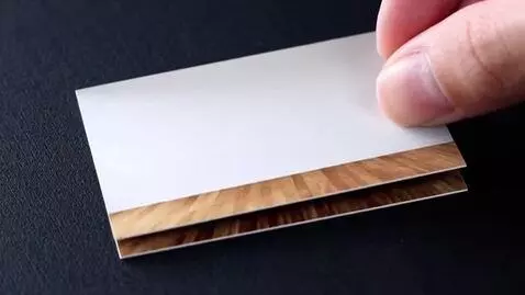 AI Video from prompt: Main Scene: A close-up, macro-style shot of a hi