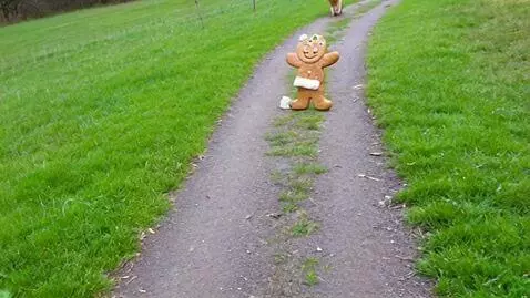 AI Video from prompt: Колобок от бабушки ушел, от дедушки ушел, бежит 