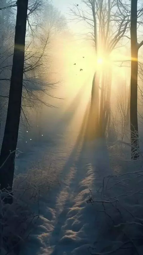 AI Video from prompt: Сделай кинематографичную анимацию этого зимнего 