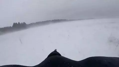 AI Video from prompt: A black crow flies low over a vast snowy steppe,