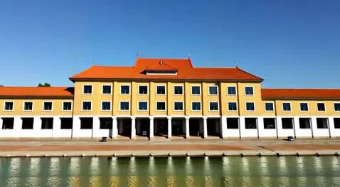 AI Video from prompt: Хомяк атакуют магазин