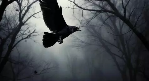 AI Video from prompt: ворон летит вверх