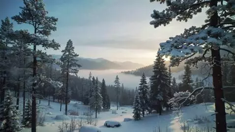 AI Video from prompt: A static 4K wide shot of a snow-covered pine for