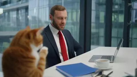 AI Video from prompt: СОЗДАТЬ ВИДЕО: Вертикальное видео 9:16, 12–15 се