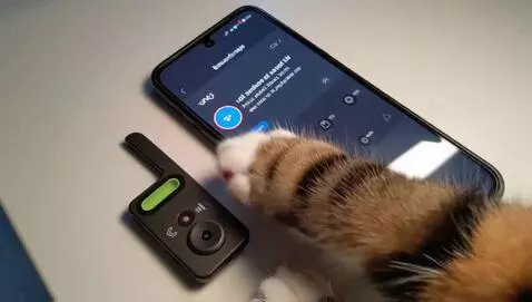 AI Video from prompt: Top-down camera view. A fluffy cat paw taps on t