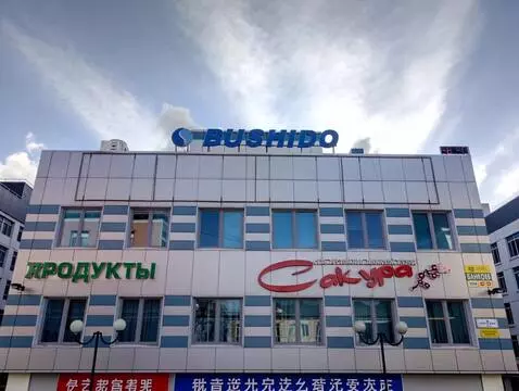 AI Video from prompt: The camera moves away from the building