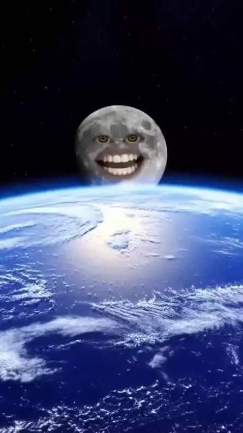 AI Video from prompt: Сова кричит испуганная: «Это пиздец!» и видит ка