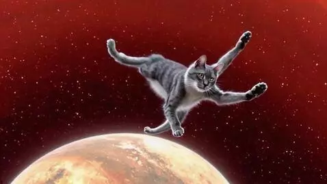 AI Video from prompt: кот с пистолетом подходит к двери стреляет в пол