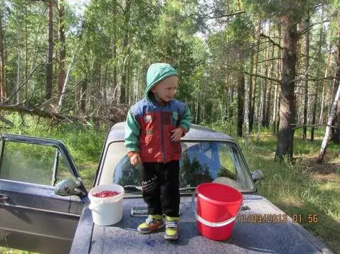 AI Video from prompt: "A lively and warm autumn day in a sunlit mixed 