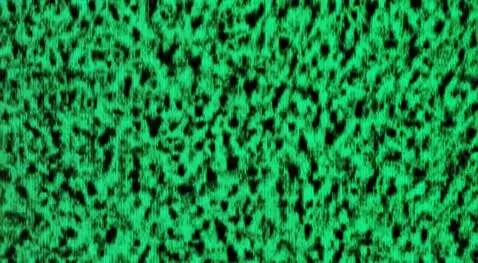 AI Video from prompt: сует палец в рот