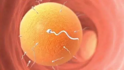 AI Video from prompt: How does conception occur during natural pregnan
