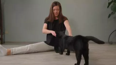 AI Video from prompt: A thick young Woman Stretching Like a cat
