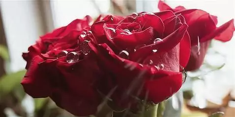 Wan 2.5 Preview video