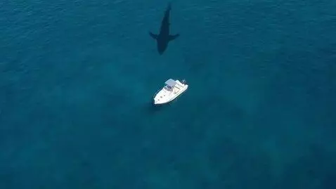 AI Video from prompt: Aerial top-down view, completely vertical, high 