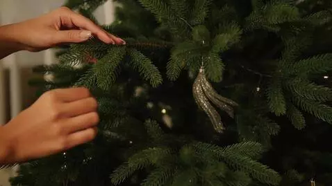AI Video from prompt: A gorgeous shot of Laura Love decorating the Chr