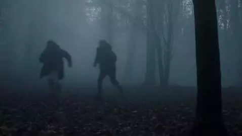 AI Video from prompt: В туманном лесу по бокам от камеры пробегают  не