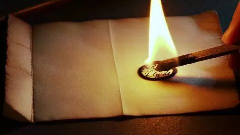 AI Video from prompt: A 5-second cinematic macro video. Extreme close-