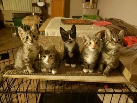 AI Video from prompt: Having a conversation