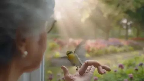 AI Video from prompt: An elderly woman draws flowers on a fogged windo