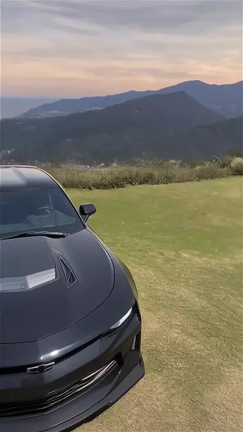 AI Video from prompt: Реалистичное видео, высокое качество прорисовки.