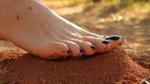 AI Video from prompt: Professional video of woman's foot stepping on a