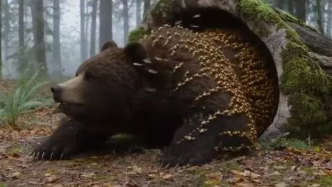 AI Video from prompt: The whole swarm of bees pulls the bear out of th