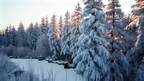 AI Video from prompt: Cinematic, mesmerizing timelapse of a winter mor