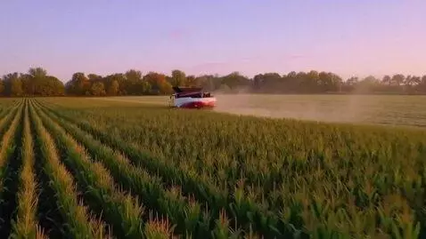 AI Video from prompt: From the factory, where the machines are humming